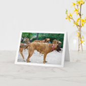 犬の群れ カード (黄色い花)