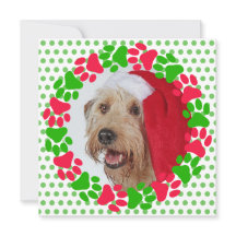 犬の肉球プリントの赤と緑のリースの写真