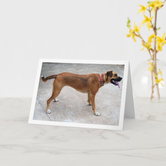 犬の肖像画 カード (黄色い花)