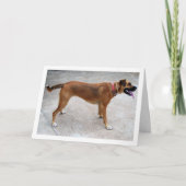 犬の肖像画 カード (正面)