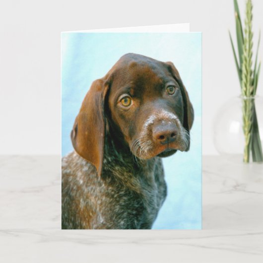 犬の肖像画 シーズンカード (正面)