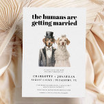 犬の花嫁と花婿おもしろいの結婚式の日付を保存 セーブザデート<br><div class="desc">犬の花嫁と花婿おもしろいの結婚式の日付を保存</div>