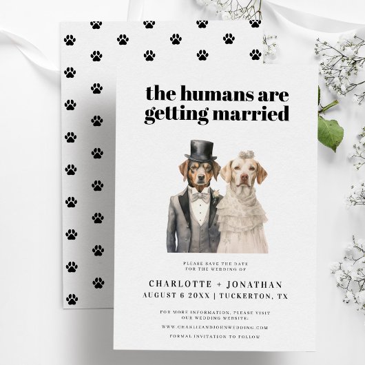 犬の花嫁と花婿おもしろいの結婚式の日付を保存 セーブザデート