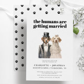 犬の花嫁と花婿 面白い結婚式のSave the Date セーブザデート