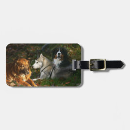 犬の荷物のラベル ラゲッジタグ