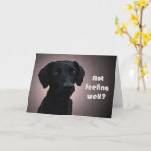 犬の薬がよくなる カード (黄色い花)