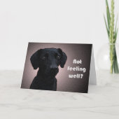 犬の薬がよくなる カード (正面)