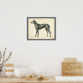 犬の表面地形解剖学プリント ポスター (キッチン)