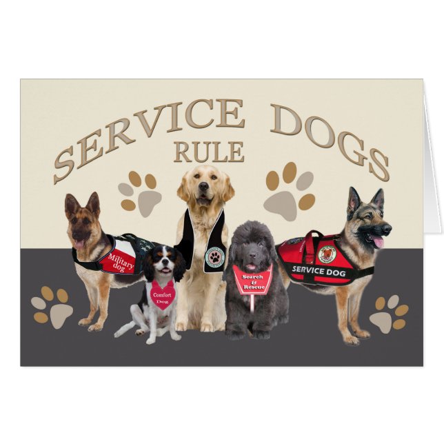 犬の規則の商品および服装を整備して下さい (正面横)