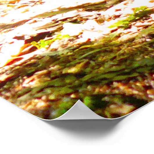 犬の視点 ポスター (角)