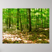 犬の視点 ポスター (正面)