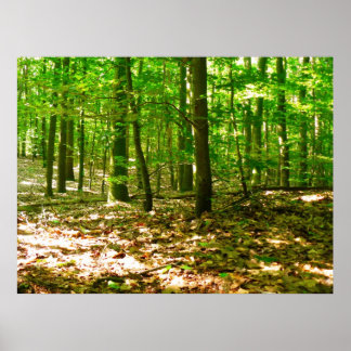 犬の視点 ポスター