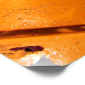 犬の視点 ポスター (角)