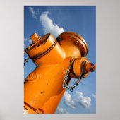 犬の視点 ポスター (正面)