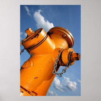 犬の視点 ポスター