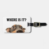 犬の覗き見のかわいい写真どこにある？ ラゲッジタグ (正面横)