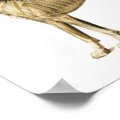 犬の解剖学のポスター筋肉と骨18 X 24 ポスター (角)