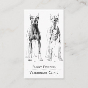 犬の解剖学的イラストレーション獣医 予約カード