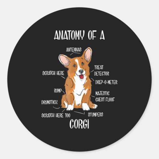 犬の解剖学、かわいいウェルシュコーギー子犬の生物学の贈り物。 ラウンドシール (正面)