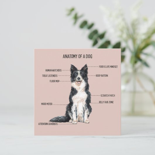 犬の解剖学 カード (スタンド正面)