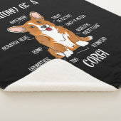 犬の解剖、かわいいウェルシュコーギー、子犬生物学の贈り物。 シェルパブランケット (3/4)