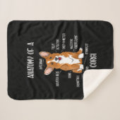 犬の解剖、かわいいウェルシュコーギー、子犬生物学の贈り物。 シェルパブランケット (正面(横))