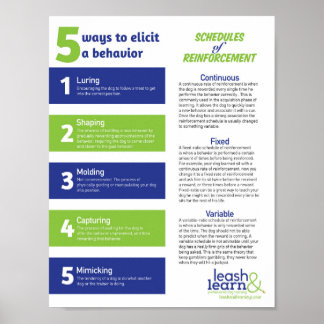 犬の訓練ポスター ポスター