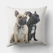 犬の訓練及び従順 クッション (裏面)