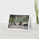 犬の訓練学校 カード (正面)