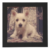 犬の記念写真 フォトキューブ (正面)