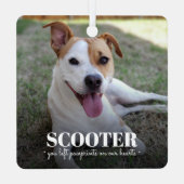 犬の記念写真 メタルオーナメント (裏面)