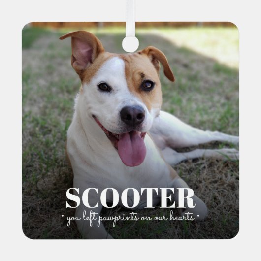 犬の記念写真 メタルオーナメント (正面)
