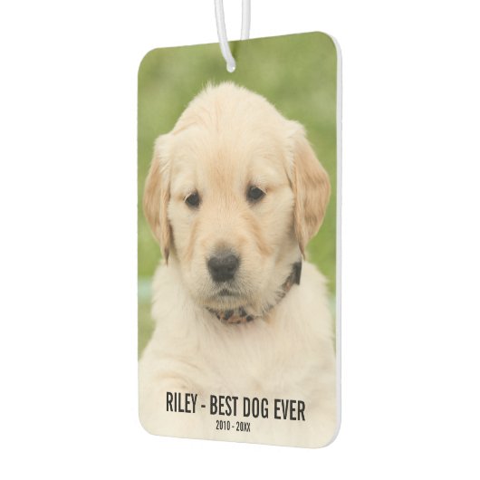 犬の記念碑、2枚の写真、最高の犬の過去、車 カーエアーフレッシュナー (左)