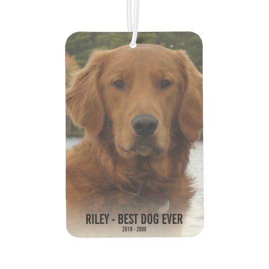 犬の記念碑、2枚の写真、最高の犬の過去、車 カーエアーフレッシュナー (裏面)