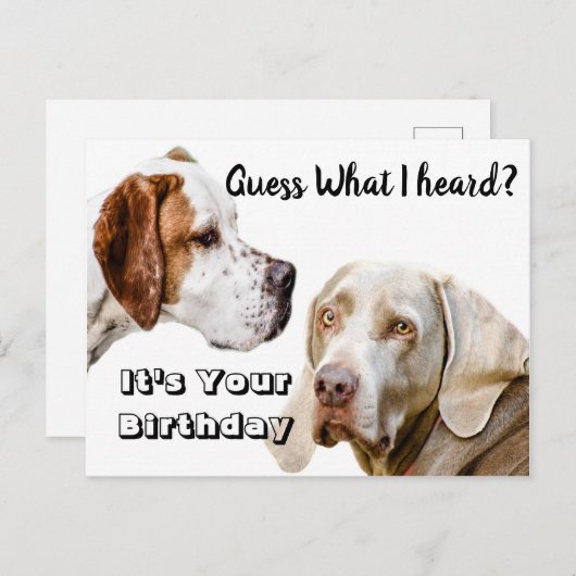 犬の誕生日の挨拶 ポストカード