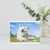 犬の誕生日カード，カスタマイズ可能 ポストカード (スタンド正面)