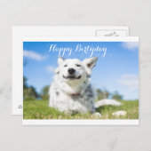犬の誕生日カード，カスタマイズ可能 ポストカード (正面/裏面)