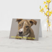 犬の誕生日カード カード (黄色い花)