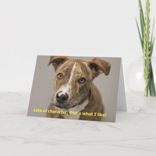 犬の誕生日カード カード (正面)