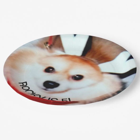 犬の誕生日パーティカスタムの写真 ペーパープレート (アングル)