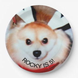 犬の誕生日パーティカスタムの写真 ペーパープレート