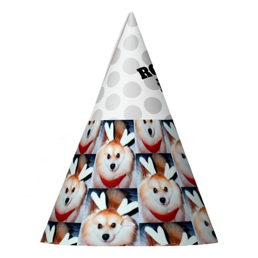 犬の誕生日パーティカスタムーの写真パーティー帽子 パーティーハット (左)