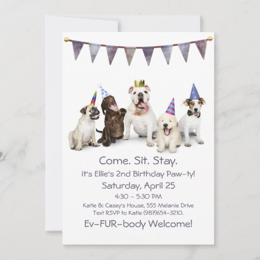 犬の誕生日パーティー任意の子犬 招待状 (正面)