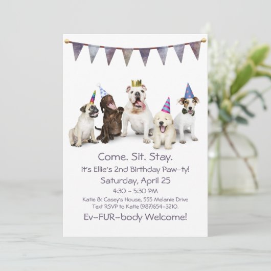 犬の誕生日パーティー任意の子犬 招待状 (スタンド正面)