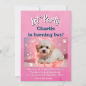 犬の誕生日パーティー シーズンカード (正面)