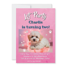 犬の誕生日パーティー