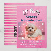 犬の誕生日パーティー