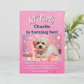 犬の誕生日パーティー シーズンカード (スタンド正面)