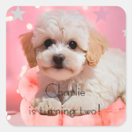 犬の誕生日パーティー スクエアシール