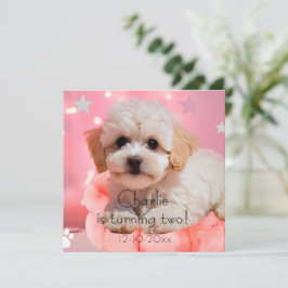 犬の誕生日パーティー セーブザデート